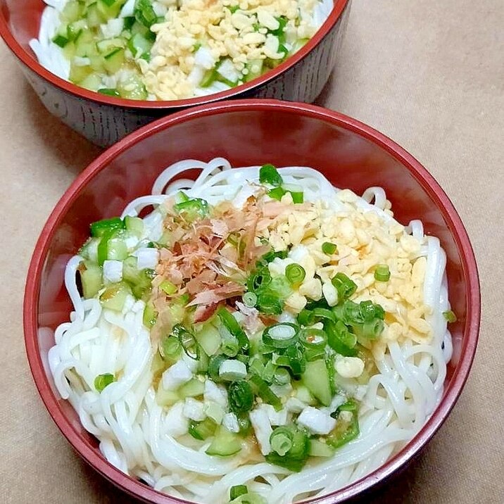 さっぱり美味しい☆山形のだし風乗せうどん